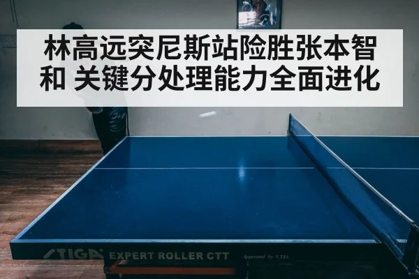林高远突尼斯站险胜张本智和 关键分处理能力全面进化 - j9 game